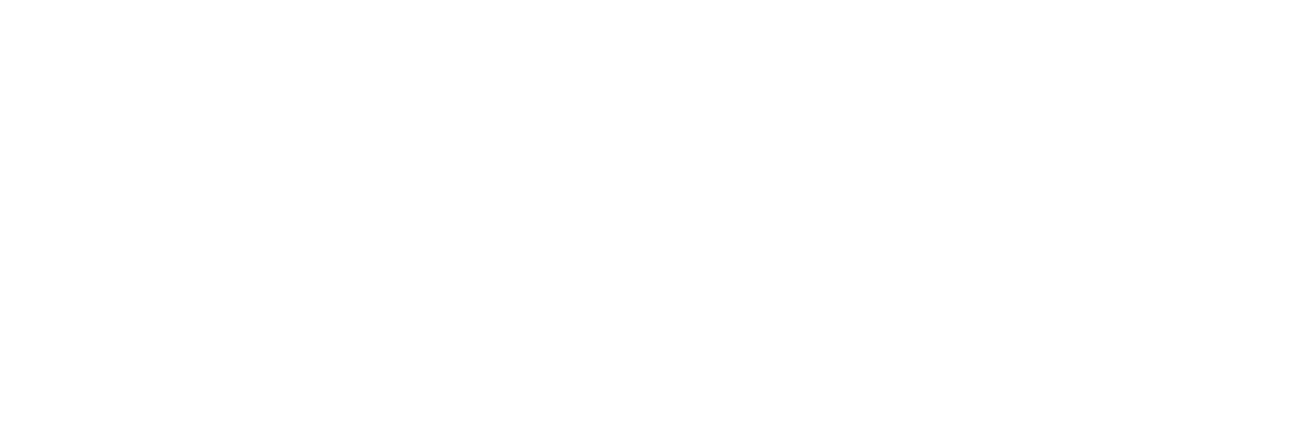 spinalfoam.com